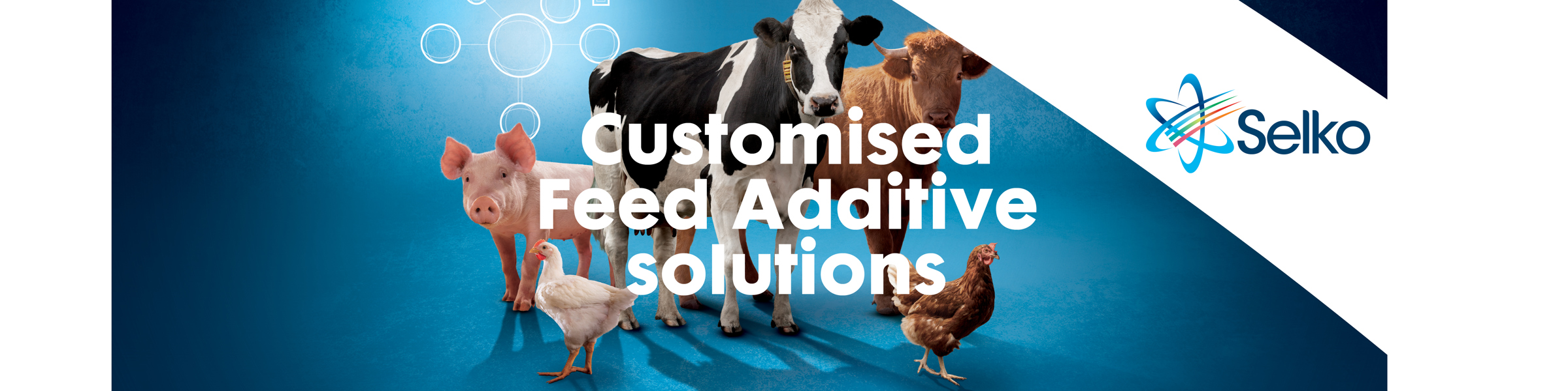 Selko, a complete package of feed additive solutions